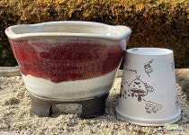 예운수제화분-57 : 다육화분 - 엑스플랜트