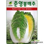 영농사 춘영 봄 배추 씨앗 500립 봄배추 종자 : 채소/곡물 씨앗 - 엑스플랜트