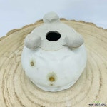 공다육수제화분 | 도향 수제다육화분 수제화분 다육화분 화분 Handmade pot : 다육화분 - 엑스플랜트