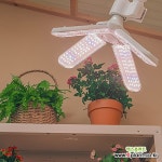 [식물이 쑥쑥 자라는] 마녀박스 식물등 생장등 코스모스등 2구 3구 4구 날개등 식물 생장 성장 LED 조명 : 원예자재 기타부자재 - 엑스플랜트