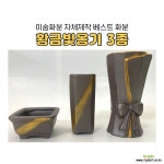 이숨화분 자체제작 황금빛 옹기화분 3종 세트 : 다육화분 - 엑스플랜트