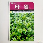 타임씨앗 200립 : 채소/곡물 씨앗 - 엑스플랜트