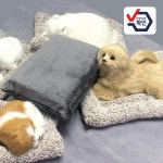 [오토크루] 러블리펫 잠자는 강아지인형 차량용 제습 탈취 인형 소형 : 컴퓨존 [오토크루] 러블리펫 잠자는 강아지인형 차량용 제습 탈취 인형... 