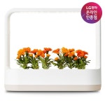 [닌텐도] SWITCH 스위치 뉴 슈퍼 마리오 브라더스 U 디럭스 아웃도어/레저/취미 > 게임/취미 > PC게임/게임기 > 닌텐도 (주)엘레파츠... 
