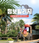 [제주 안덕] 점보빌리지 데일리호텔 - 호텔&레스토랑 할인예약