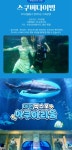 대전 신세계 엑스포 아쿠아리움 아쿠아랜드 어항 만들기 패키지