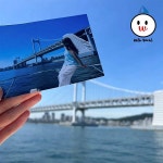 [부산 해운대] 부산 요트투어 위드요트