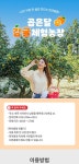 제주 곱은달감귤체험농장 한라봉 청 만들기 클래스