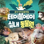 추천 | 야놀자