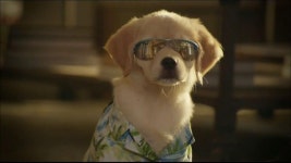 Glade TV Spot, Doggie Costumes - iSpot.tv Glade TV Spot, Doggie Costumes 