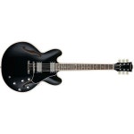 [해외] 【아울렛】EDWARDS E-SA-160LTS BLACK 335 세미아코