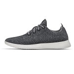 세계 제일 쾌적(미 타임지) NZ메리노우루/세탁기에 씻을 수 있 allbirds 스니커즈 남성용 [NZ직송] (US12,프렌치 플라이) [병행수입품]... 