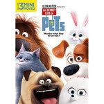 2016 DVD Movies: Amazon.com
