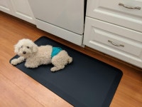 WHY did I wait so long?? Check out this Amazon review of Sky Solutions Anti Fatigue Floor Mat - 3/4 Thick Cushioned Kitchen Rug... 