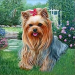 for Adults Cross Stitch Full Toolkit Embroidery Arts Craft Picture Supplies Home Wall Decor Toys & Games Dog 3 Craft Kits kopa.or.kr
