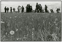 The Bikeriders | Dazed The Bikeriders
