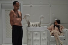 Funky Forest and The Warped Forest | Dazed Funky Forest and The Warped Forest