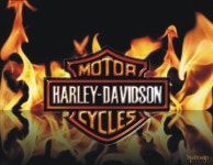 Harley-Davidson Full HD Wallpaper and Background | 2200x1700 | ID:125023