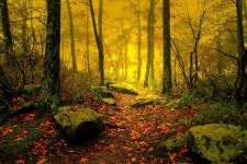 Scenic Computer Wallpapers, Desktop Backgrounds | 1280x854 | ID:192001