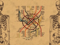 Skeleton Wallpaper and Background Image | 1600x1200 | ID:300071