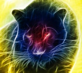 ID:780117 - Wallpaper Abyss  Abstract black panther HD Wallpaper | Background Image | 2160x1920 | ID:780117