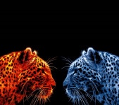 Lepard fractal Full HD Wallpaper and Background Image | 2160x1920 | ID:780118