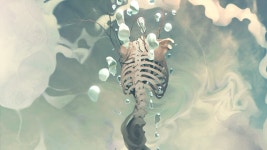 ID:962010 - Wallpaper Abyss  Skeleton HD Wallpaper | Background Image | 2666x1500 | ID:962010