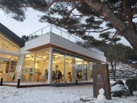 블루리본 서베이 초록과 만나는 힐링 타임, 숲 전망 카페