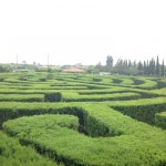 Пётр (rpetr10) - 체스 프로필 - Chess.com Пётр (rpetr10) - 체스 프로필