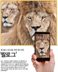 d라이브러리 2016년 03월 수학동아