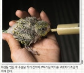 d라이브러리 2019년 13호 어린이과학동아 d라이브러리 2019년 13호 어린이과학동아	