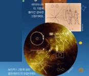 d라이브러리 2022년 04호 어린이수학동아