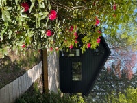 Photo 8 of 15 in Black House by christy flora - Dwell Photo 8 of 15 in Black House by christy flora