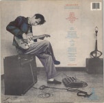 Adrian Belew Desire Caught By The Tail US vinyl LP album (LP record) (700296)