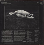 Appaloosa Appaloosa US vinyl LP album (LP record) (857001)