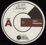 Automagik Goldmine - Test Pressing US vinyl LP album (LP record) (890006)