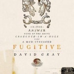 David Gray Fugitive UK CD single (CD5 / 5) (482326)