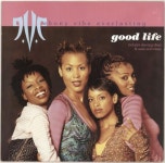 Ebony Vibe Everlasting Good Life UK 12 vinyl single (12 inch record / Maxi-single) (700277)