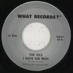 The Dils I Hate The Rich US 7 vinyl single (7 inch record / 45) (854009)