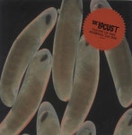 The Locust Flight Of The Wounded Locust US 7 vinyl single (7 inch record / 45) (838034)