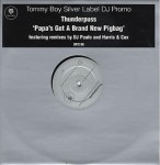 Thunderpuss Papas Got A Brand New Pigbag UK Promo 12 vinyl single (12 inch record / Maxi-single) (236756)
