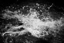 Photo of fashion model Elsa Hosk - ID 700445 | Models | The FMD