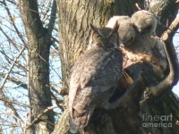 Moms Home Photograph by David Bearden - Fine Art America Moms Home by David Bearden