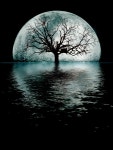 MoonTree Digital Art by Joseph Davis MoonTree by Joseph Davis