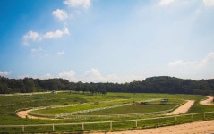 Stud Farm Photograph by Hyuntae Kim - Fine Art America Stud Farm by Hyuntae Kim