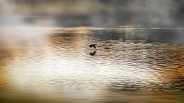 Sunrise Photograph by Lilia D - Fine Art America Sunrise by Lilia D
