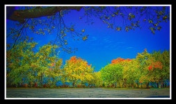 102319-215 Photograph by Mike Davis - Fine Art America 102319-215 by Mike Davis