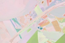 92 Acacia1 Painting by Henry Hu 92 Acacia1 by Henry Hu