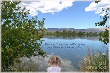 John 14 27 Mixed Media by Lori Tondini - Fine Art America John 14 27 by Lori Tondini