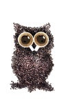 Owl Coffee Photograph by 101cats - Fine Art America Owl Coffee by 101cats